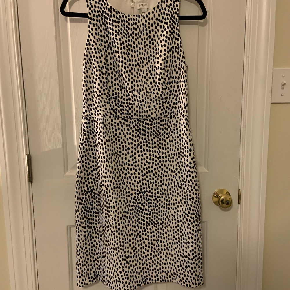Adorable J. Crew dress